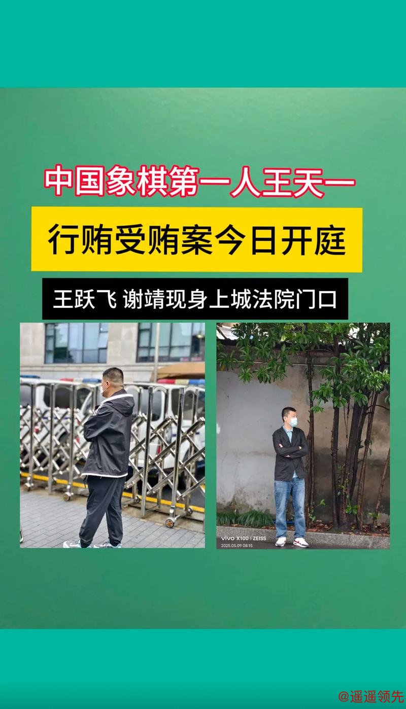 中国象棋“网暴者”一审获实刑6个月 中国象棋“网暴者”一审获实刑6个月