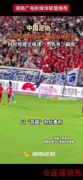 中国足协：建立球迷“黑名单”制度 净化赛场环境