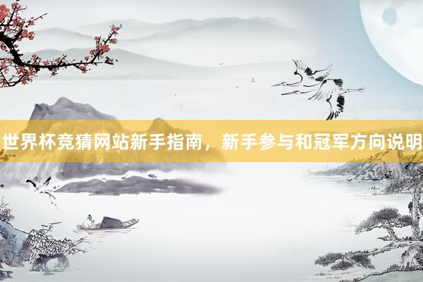 世界杯竞猜网站新手指南，新手参与和冠军方向说明