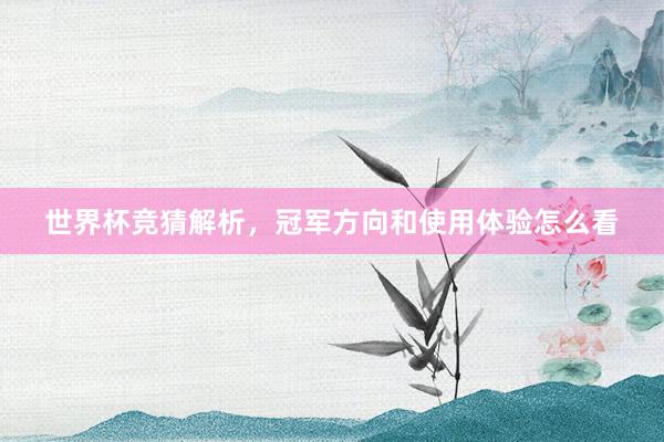 世界杯竞猜解析，冠军方向和使用体验怎么看